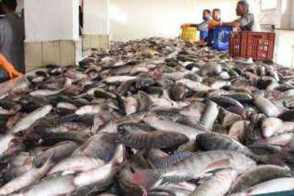 أسعار الأسماك في سوق العبور اليوم الخميساليوم الخميس، 9 مايو 2024 09:19 صـ   منذ 4 دقائق