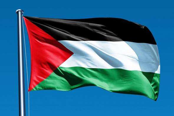في مايو الجاري.. تقرير يكشف موعد اعتراف 4 بلدان أوروبية بدولة فلسطين
