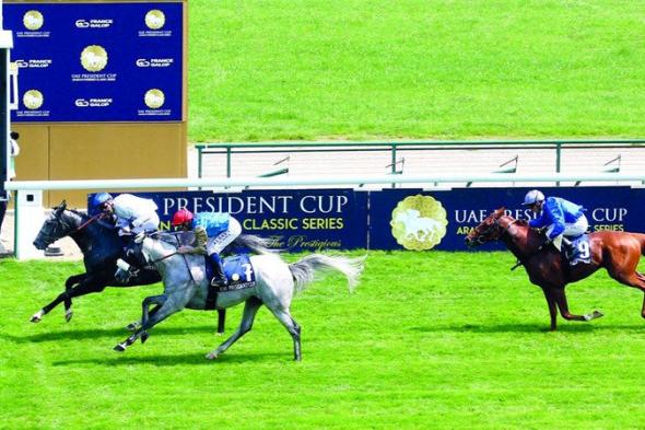 إطلاق أجندة سباقات النسخة الـ 31 لكأس الخيول العربية