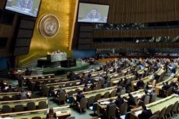 مندوب روسيا بالأمم المتحدة: سنصوت لصالح القرار المطروح بشأن عضوية فلسطين