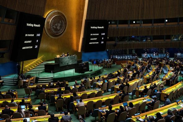 قرار تاريخي.. 142 دولة تصوت لدعم العضوية الكاملة لفلسطين بالأمم المتحدة