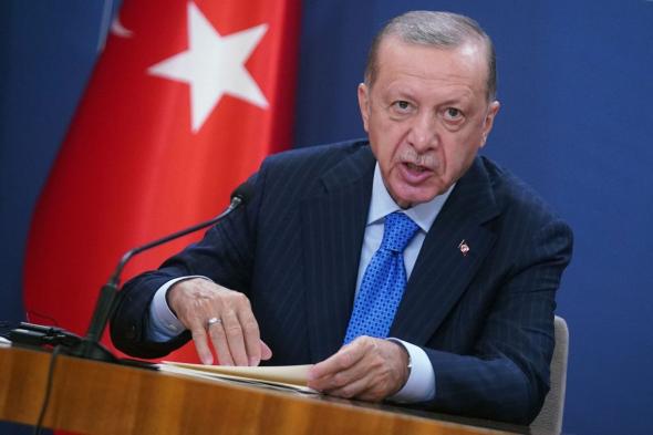 أردوغان: تركيا تحتاج إلى دستور مدني جديد