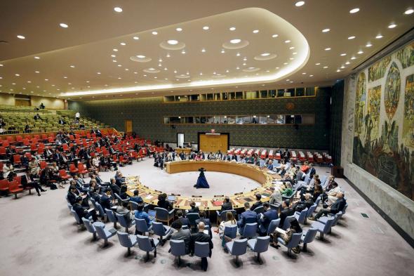 إنتصار جديد.. مجلس الأمن يعتمد مبادرة للجزائر حول غزة