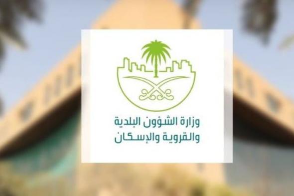 «الشؤون البلدية»: حالات التسمم في «همبرغيني» الرياض بسبب بكتيريا في عينة «مايونيز»
