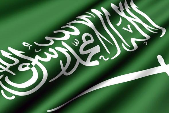 الدبلوماسية السعودية تنجح في نزع الاعتراف الأممي ومندوب إسرائيل يستشيط غضبًا ويمزق ميثاق الأمم