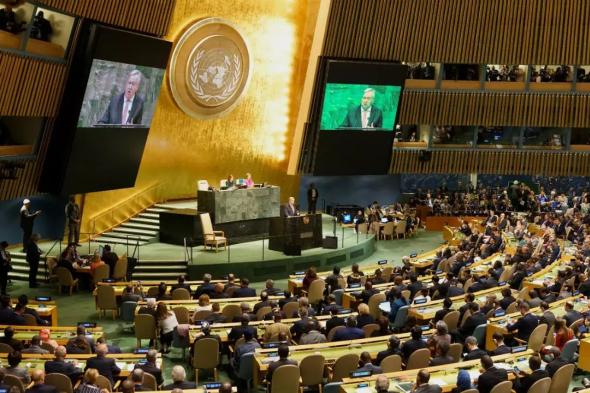 ترحيب عربي وإسلامي بقرار الجمعية العامة دعم عضوية فلسطين بالأمم المتحدة