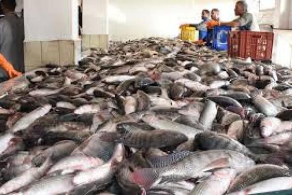 ننشر أسعار الأسماك فى سوق العبور اليوم السبتاليوم السبت، 11 مايو 2024 11:00 صـ   منذ 30 دقيقة