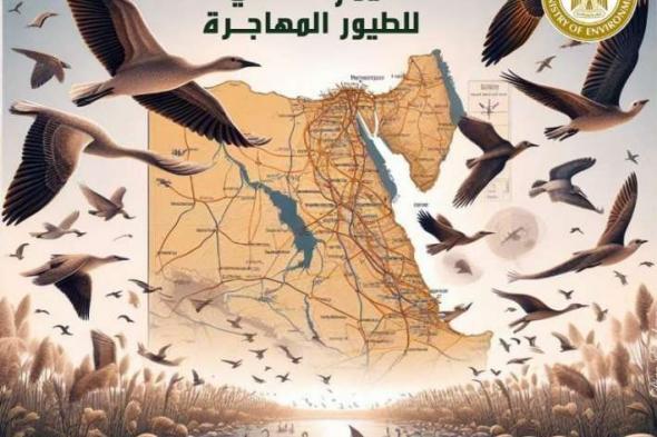 وزيرة البيئة تعلن مشاركة مصر في الاحتفال باليوم العالمي للطيور المهاجرة ٢٠٢٤اليوم السبت، 11 مايو 2024 10:15 صـ   منذ 11 دقيقة