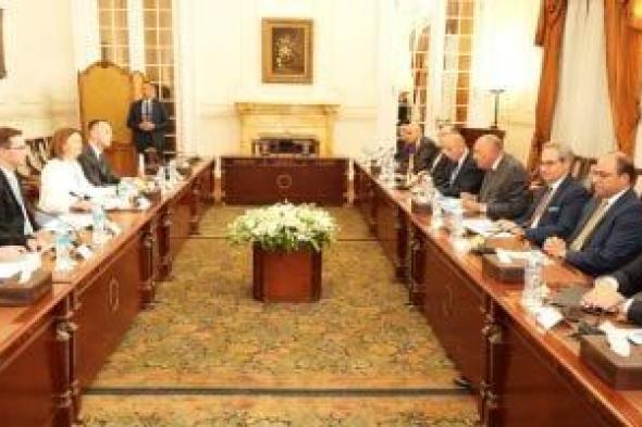 جلسة مباحثات بين وزير الخارجية ونظيره السلوفيني لبحث سبل وقف الحرب على غزة ‏