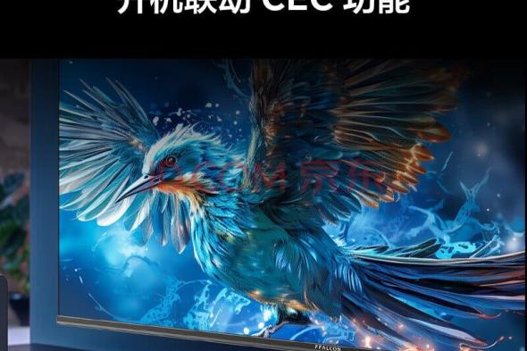 ‏TCL تطلق تلفاز Thunderbird Sparrow 5 SE الذكي بحجم 43 بوصة في الصين