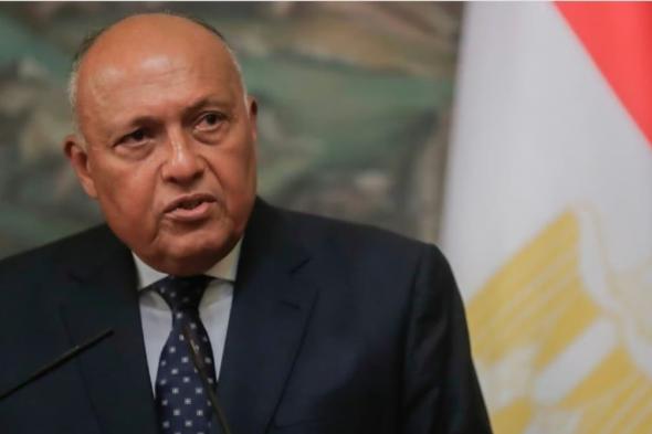 وزير خارجية مصر: اتفاقية السلام مع إسرائيل لها آليات لمواجهة أي مخالفات