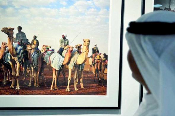 عدسة فائزة في «فنون العالم دبي» تلاحق الهجن الأصيلة