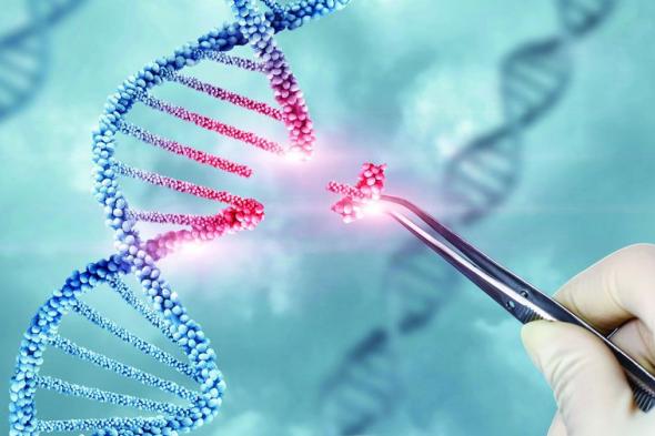 العلاج الجيني وزراعة النخاع العظمي يقودان مستقبل علاج الثلاسيميا