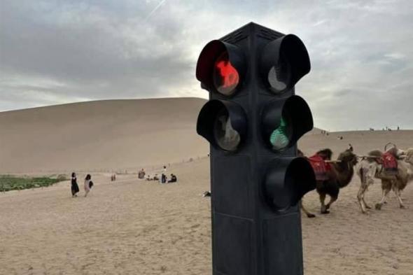 إشارات مرور للجمال في الصين وسط الصحراء