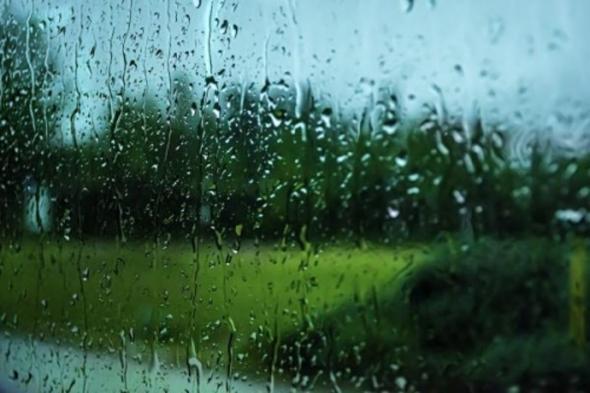 "الأرصاد" يكشف عن كميات الأمطار المسجلة آخر 24 ساعة في 7 مناطق