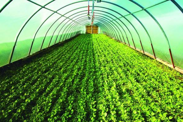 «أبوظبي للزراعة» تستعرض جهودها لضمان استدامة القطاع