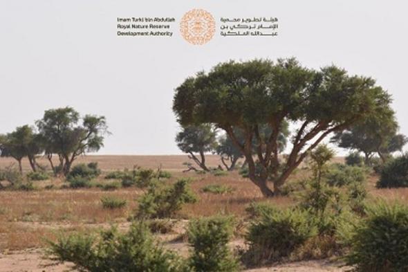 محمية الإمام تركي بن عبدالله الملكية تفعّل اليوم الدولي للصحة النباتية 2024