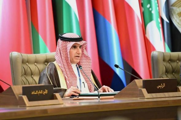 المطر: المملكة تحرص على تقديم كل الدعم اللازم للقضايا العربية