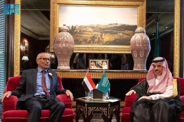 وزير الخارجية يبحث مع نظيريه بالسودان وسوريا سبل تعزيز التعاون المشترك