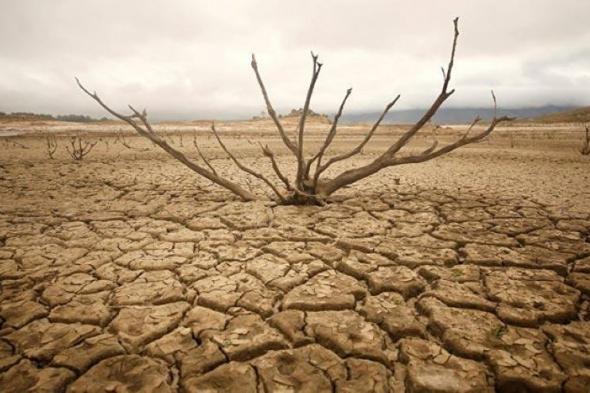 الأرصاد: المنطقة العربية تتعرض لظواهر وتقلبات مناخية غير مسبوقة
