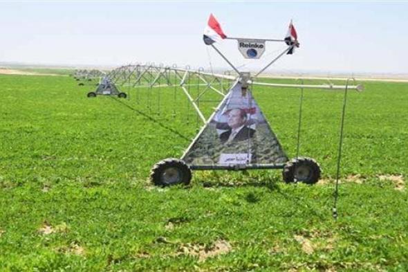عمار يا مصر: الانتهاء من زراعة 2 مليون فدان العام المقبل
