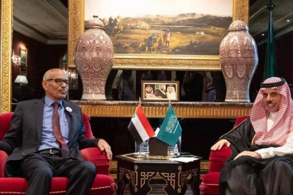 وزير الخارجية يناقش مع نظيره السوداني مستجدات الأوضاع الراهنة في السودان