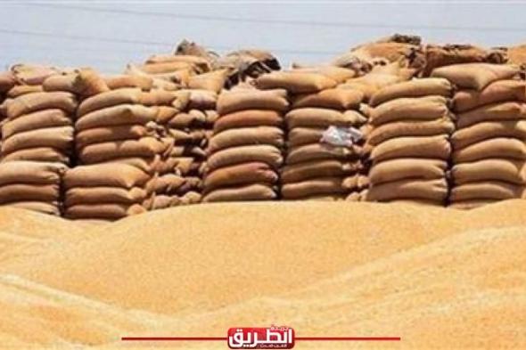 وزير التموين: وصول نسب توريد القمح في مواقع الاستلام إلى 2.4 مليون...اليوم الثلاثاء، 14 مايو 2024 09:54 مـ