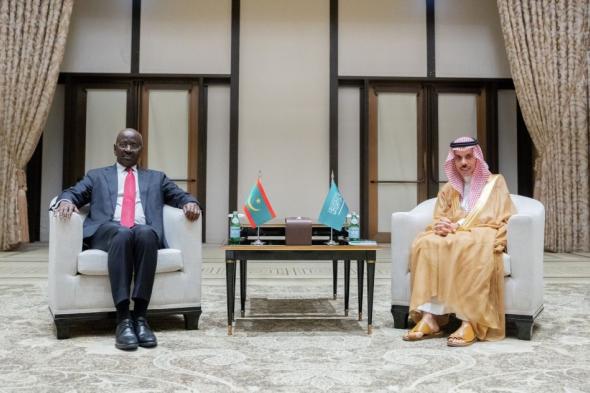 وزير الخارجية يبحث المستجدات الإقليمية والدولية مع نظيره الموريتاني