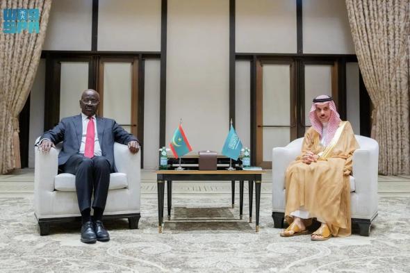 وزير الخارجية يناقش مع نظيره الموريتاني المستجدات على الساحتين الإقليمية والدولية