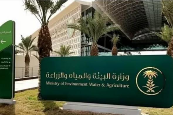 وزارة البيئة تعلن فرصة استثمارية بمتنزه البيضاء الوطني بالمدينة المنورة