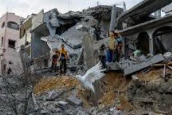 فصائل فلسطينية: استهدفنا جرافة عسكرية للاحتلال بقذيفة فى حى التنور شرق رفح