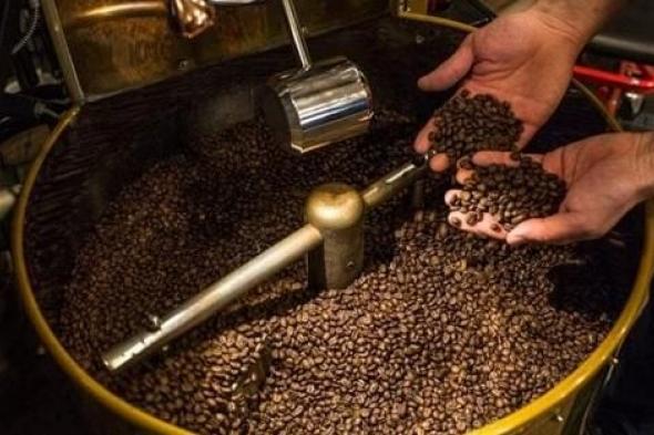 قهوة مصري 100%.. ننفرد بنشر النتائج الأولية لتحاليل ثمار البن في مصر