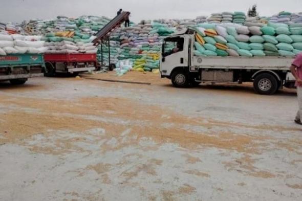 استمرار توافد محصول القمح على صوامع وشون محافظة الشرقيةاليوم الأحد، 19 مايو 2024 11:49 صـ   منذ 34 دقيقة