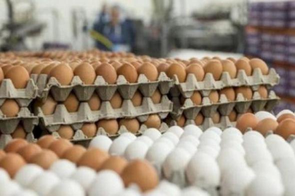 بسكرة: حجز 15 ألف بيضة دجاج فاسدة بالقنطرة