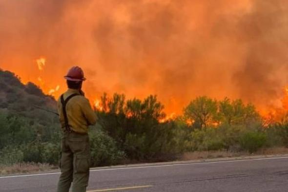 استمرار حرائق الغابات لليوم الثالث بولاية أريزونا الأمريكية