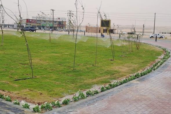 أمانة الأحساء: تطوير «ميدان سلوى» وزراعة 45 ألف شتلة زهور صيفية