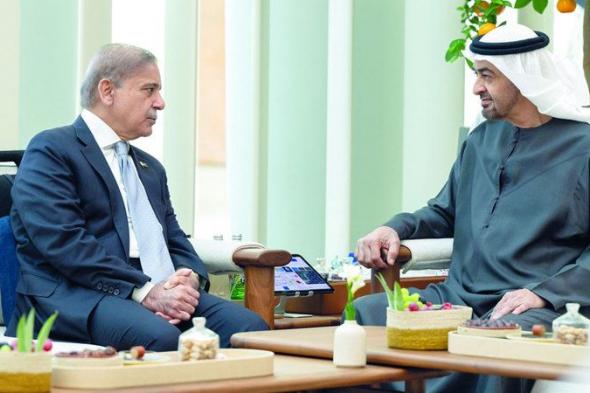 رئيس الدولة ومحمد شهباز شريف يبحثان تعزيز علاقات التعاون