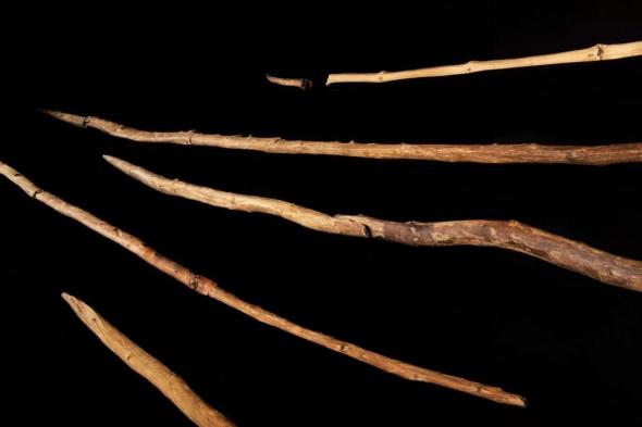 الإنسان صنع  أسلحة قاتلة منذ 300 ألف عام