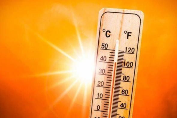 "الأرصاد": المدينة المنوّرة تسجّل أعلى حرارة بالمملكة 46 ْمئوية والسودة الأدنى