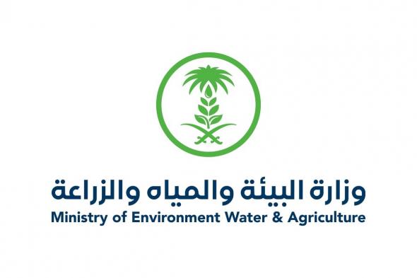 "البيئة": تنفيذ 750 جولة رقابية في أسواق الأنعام والمسالخ بالمدينة المنوّرة ورصد 43 مخالفة