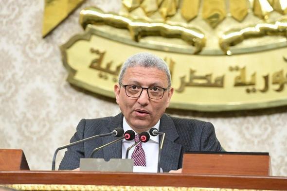 وكيل النواب يُشدد على رفض مصر القاطع لأية أطروحات تهدف لتهجير الفلسطينيين