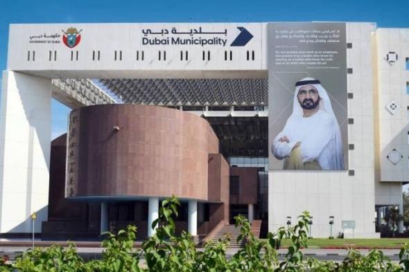 بلدية دبي تحصد 11 جائزة محلية وعالمية