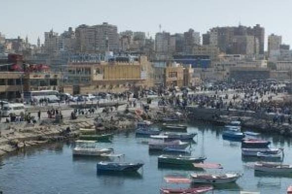 طقس الإسكندرية غدا.. حار نهارا مع توقعات بسقوط أمطار خفيفة بالسواحل الشمالية