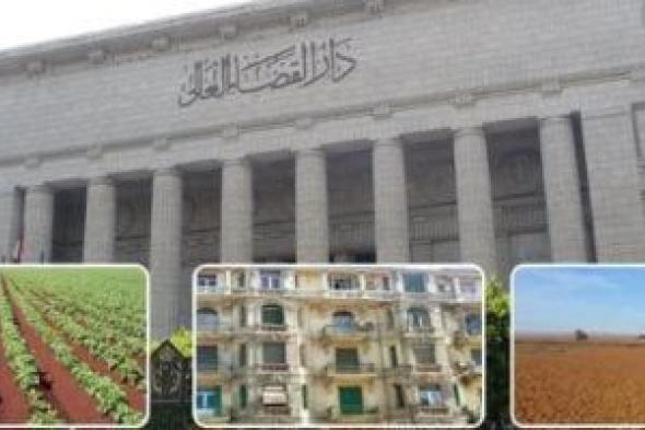 مبدأ قضائى للنقض.. عدم تحديد "عين النزاع" عنوانا ورقما يُبطل الحكم.. برلماني