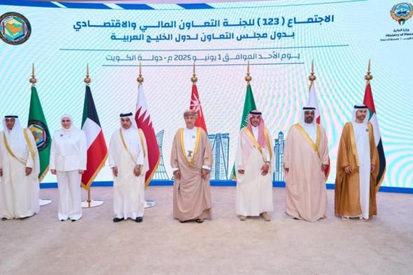 الإمارات تؤكد دعمها لإرساء اقتصاد خليجي موحد ومحفز للاستثمار