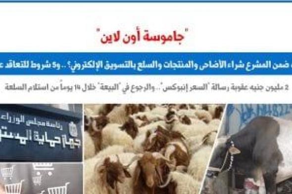 جاموسة أون لاين.. كيف ضمن المشرع شراء الأضاحى بالتسويق الإلكترونى؟.. برلمانى