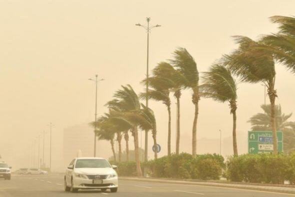 رياح على منطقة تبوك حتى السابعة 