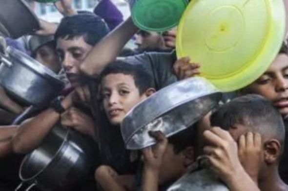 استشهاد وإصابة 14 فلسطينيا إثر استهداف نقطة توزيع مساعدات بغزة