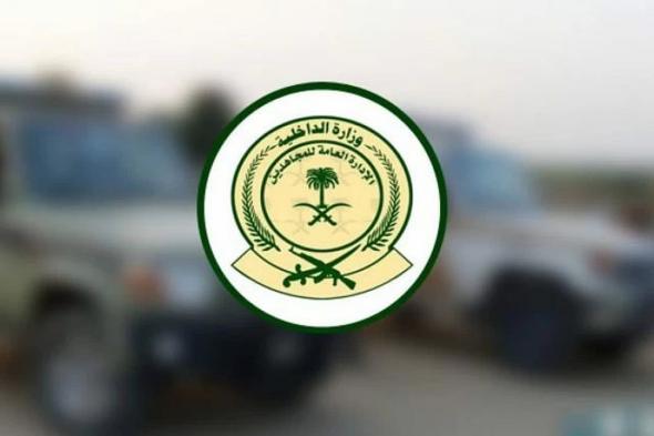 جازان.. "دوريات المجاهدين" تضبط مواطنًا لنقله 8 مخالفين لنظام أمن الحدود
