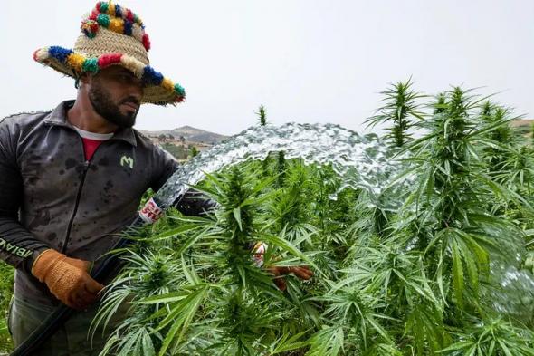 موجة حر تصل إلى 45.4 درجة تضرب المغرب.. وتحذيرات من ضربات الشمس
